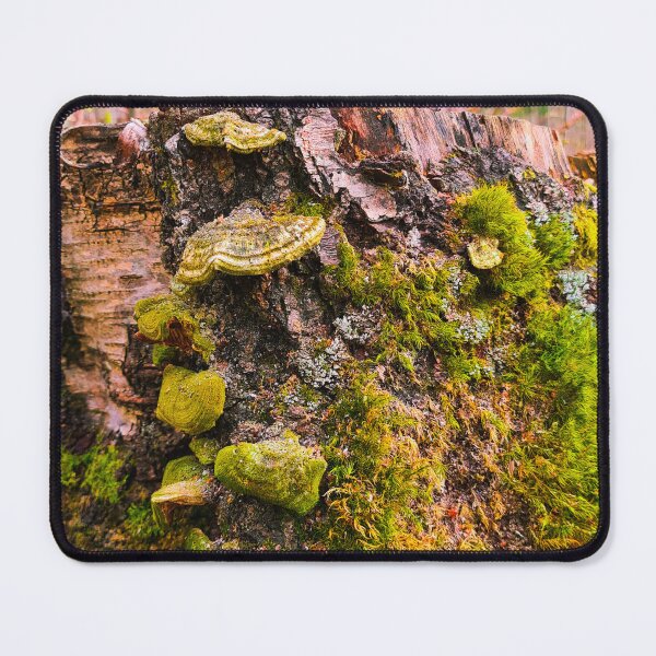 Item preview, Life on the stump designed and sold by bluerosesart37.