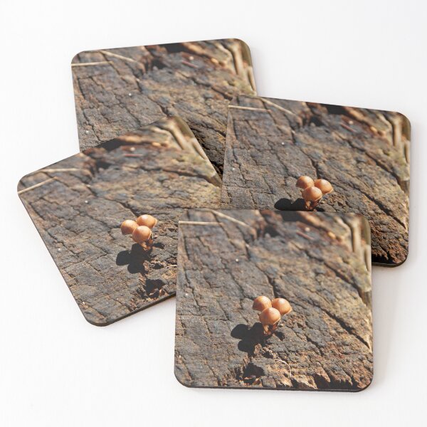 Item preview, Mushrooms on a Tree Stump designed and sold by Philip Alexander.