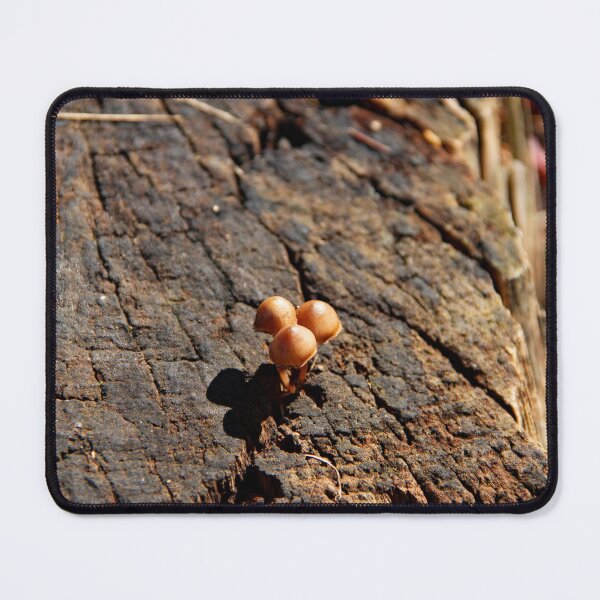 Item preview, Mushrooms on a Tree Stump designed and sold by Philip Alexander.
