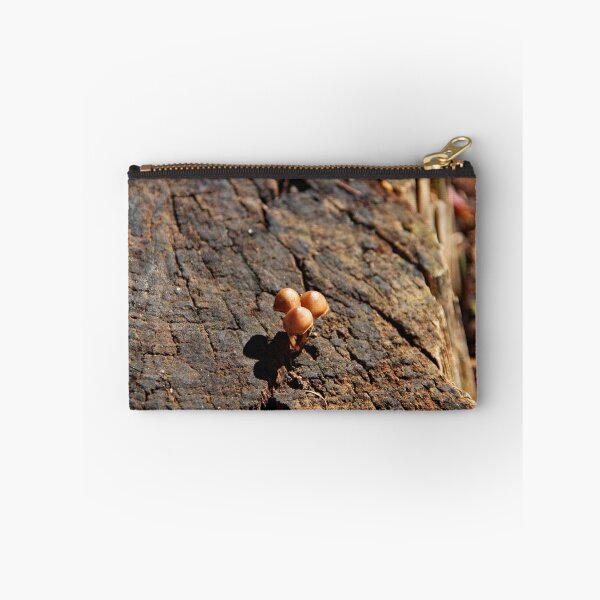 Item preview, Mushrooms on a Tree Stump designed and sold by Philip Alexander.