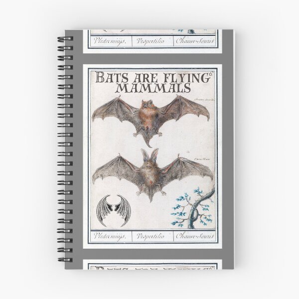 Item preview, Bats Are Flying Mammals Vintage Illustration Design designed and sold by EarthArtDesigns.