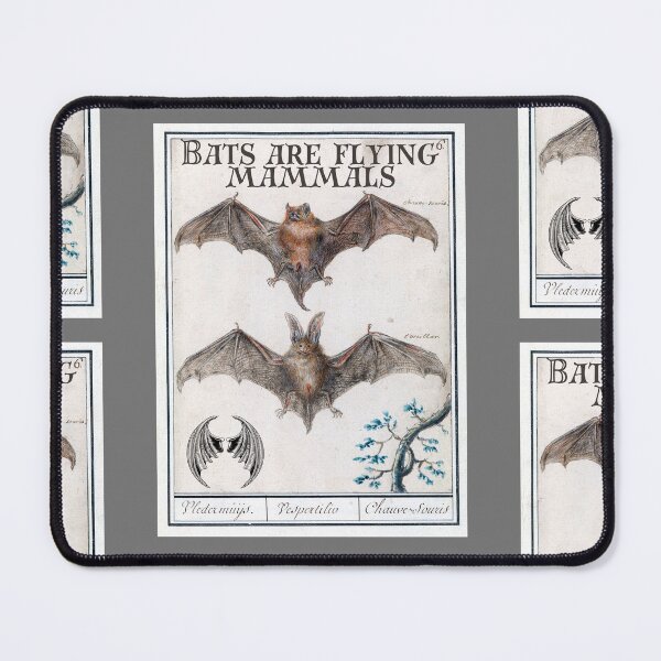 Item preview, Bats Are Flying Mammals Vintage Illustration Design designed and sold by EarthArtDesigns.