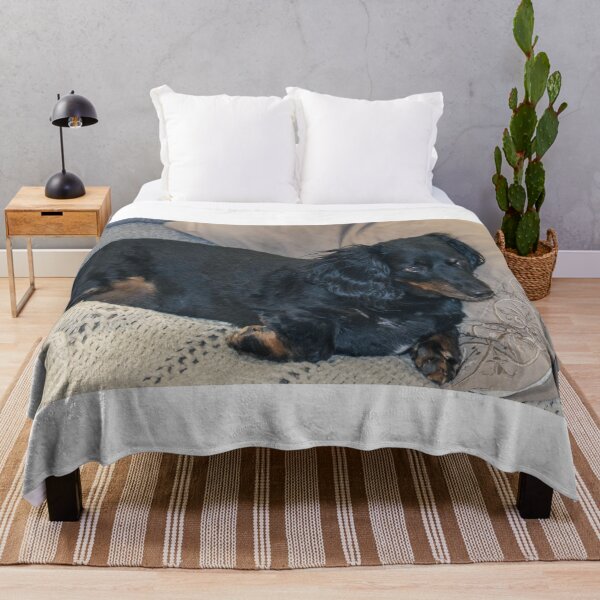 Item preview, Long-haired Dachshund Resting On Couch  designed and sold by FreelanceJim.