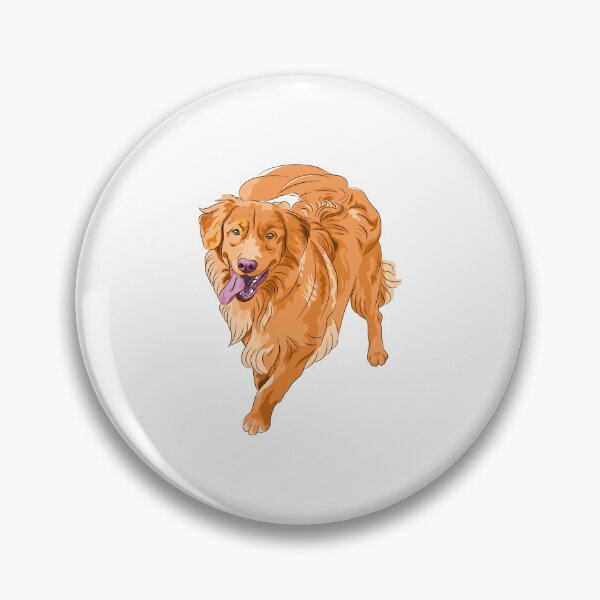 Artikelvorschau, Nova Scotia Duck Tolling Retriever, süßes gelbes Hundeportrait, süßes Hundeportrait entworfen und verkauft von GreyStanzione1.