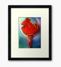 Rust 29 Framed Print