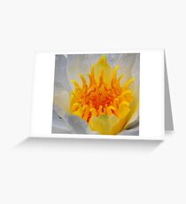 Yellow Greeting Card