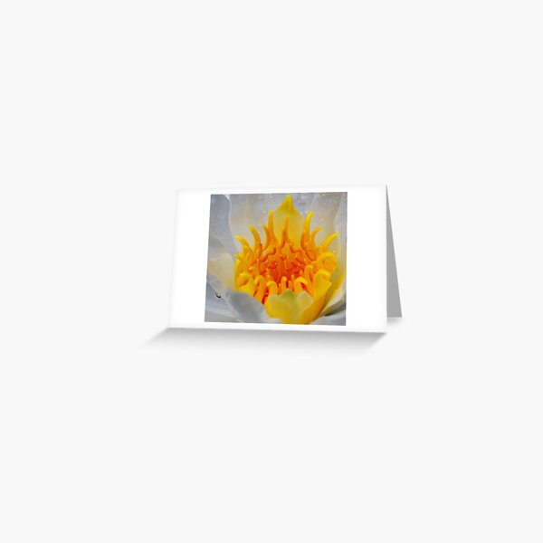Yellow Greeting Card