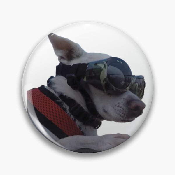 Item preview, Gizmo Biker Dog Close Up designed and sold by VroomGoPam.