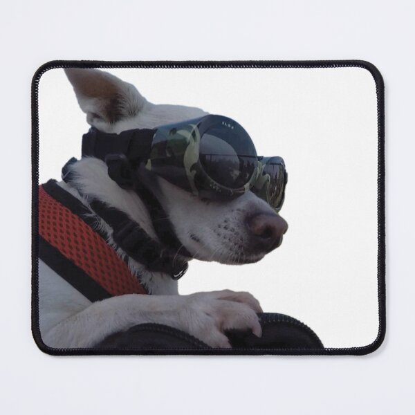 Item preview, Gizmo Biker Dog Close Up designed and sold by VroomGoPam.