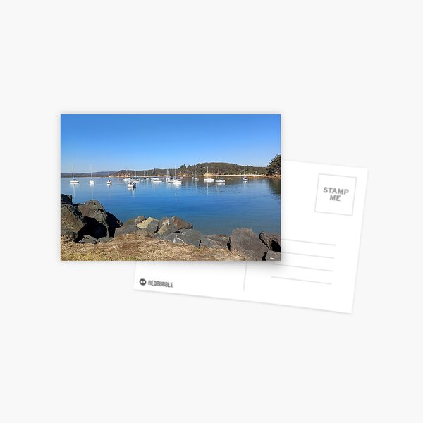 Item preview, Yachts moored in Quarantine Bay, Eden, NSW designed and sold by Kirsten Covington.