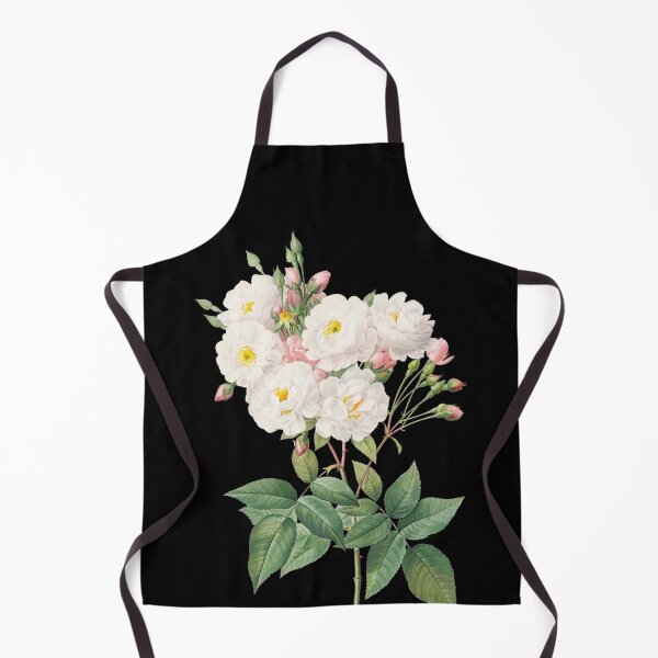 Item preview, Rose of Philippe Noiselle from Les Roses + Scientific name designed and sold by 29Bumblebee.