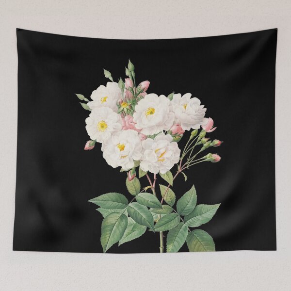 Item preview, Rose of Philippe Noiselle from Les Roses + Scientific name designed and sold by 29Bumblebee.