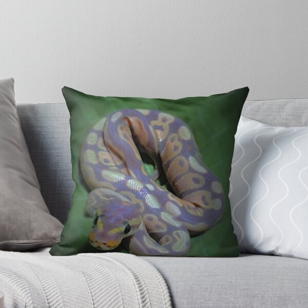 Item preview, Banana ball python designed and sold by dragongirl222.