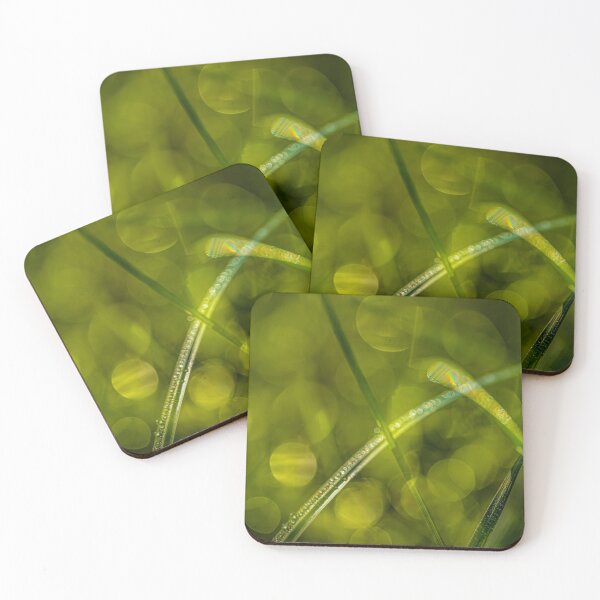 Item preview, Morning light 9 designed and sold by Veikko  Suikkanen.