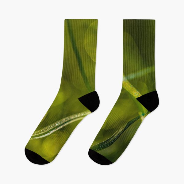Item preview, Morning light 9 designed and sold by Veikko  Suikkanen.