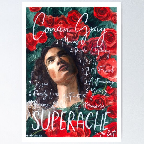 Poster in Superache vinyl  Conan gray, Conan, Couples icons