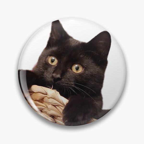 Item preview, Gatito en una canasta designed and sold by Smab65.