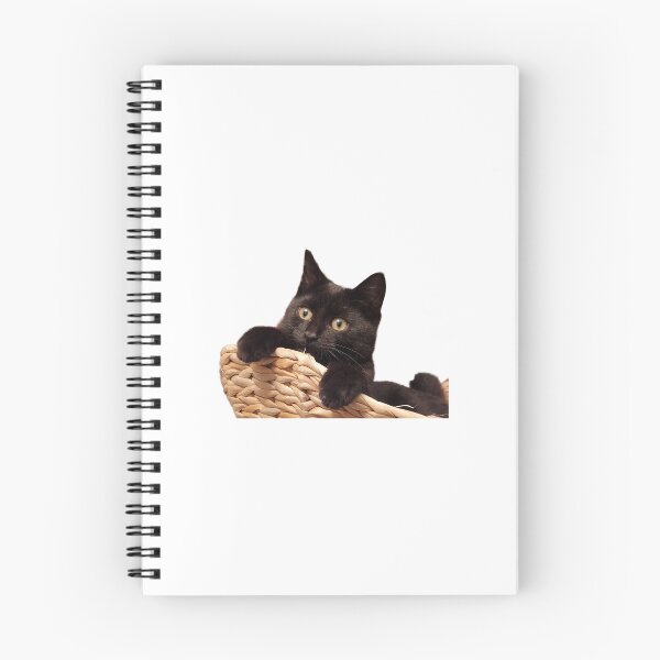 Item preview, Kitty in a basket designed and sold by Smab65.