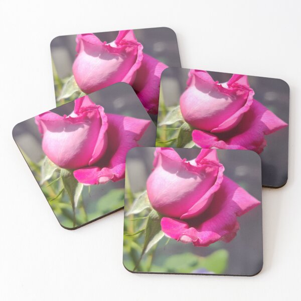 Item preview, Pink summer rose designed and sold by MydNyte269.