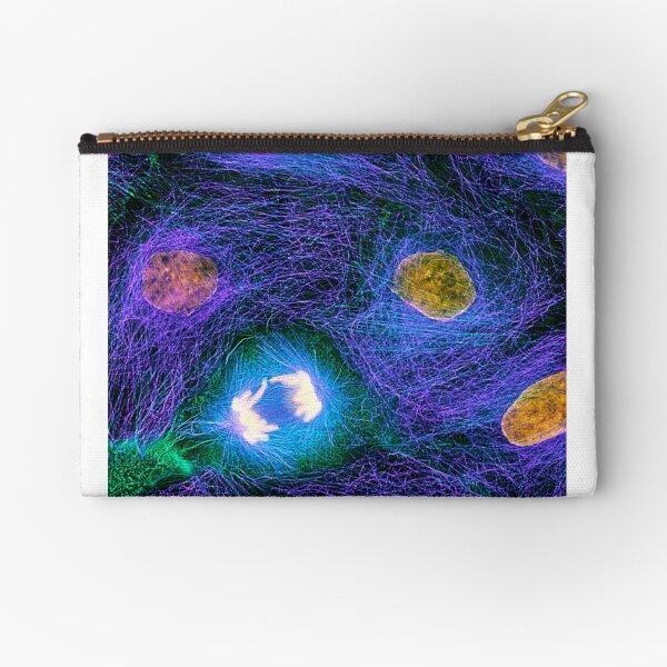 Item preview, Mitosis (P672/0130) designed and sold by SciencePhoto.