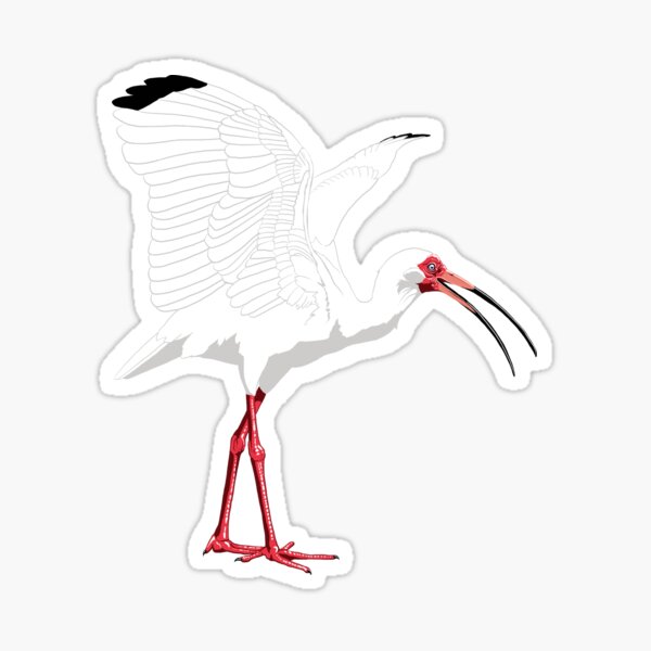 Item preview, White Ibis designed and sold by BennuBirdy.