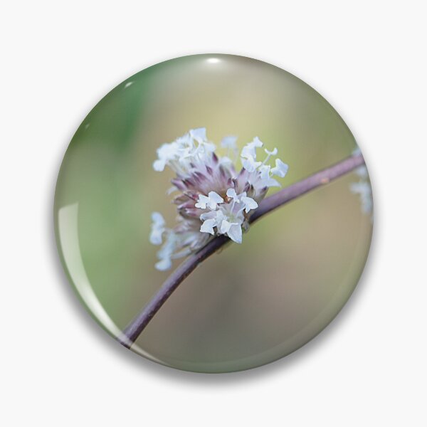 Artikelvorschau, Korb Pflanzen Sie zarte weiße Blumensträuße entworfen und verkauft von IPPhotography.