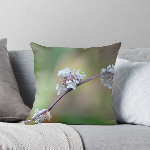 Item preview, Cesta Planta delicados racimos de flores blancas. designed and sold by IPPhotography.
