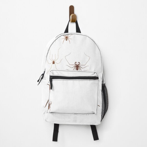 Item preview, The Epoch Collection Cuban Spiders 2 from "Histoire physique, politique et naturelle de ile de Cuba” (1838-1857) designed and sold by Coastal Garden Design Studio.