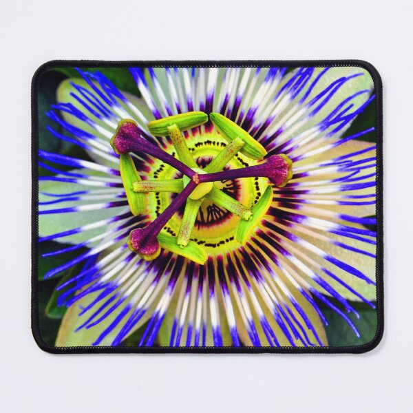 Item preview, Passion Flower Summer Flowering Plant designed and sold by AndyEvansPhotos.
