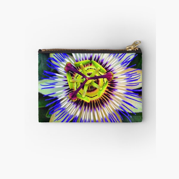 Item preview, Passion Flower Summer Flowering Plant designed and sold by AndyEvansPhotos.