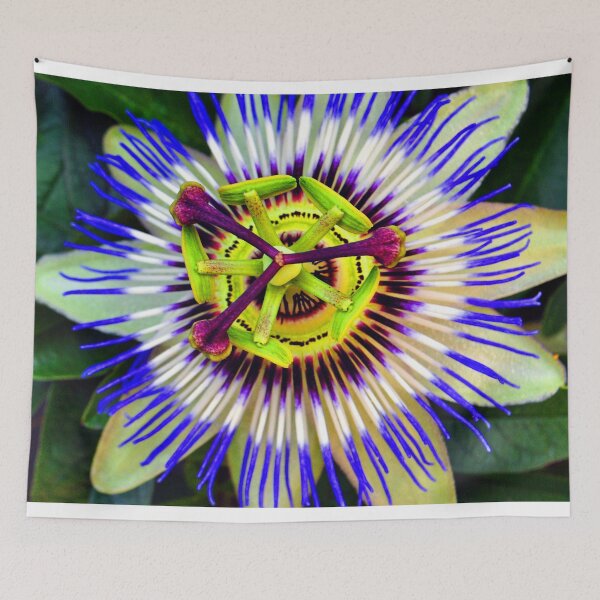Item preview, Passion Flower Summer Flowering Plant designed and sold by AndyEvansPhotos.
