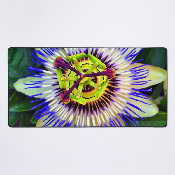 Item preview, Passion Flower Summer Flowering Plant designed and sold by AndyEvansPhotos.