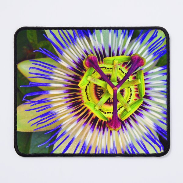 Item preview, Passion Flower Summer Flowering Plant designed and sold by AndyEvansPhotos.
