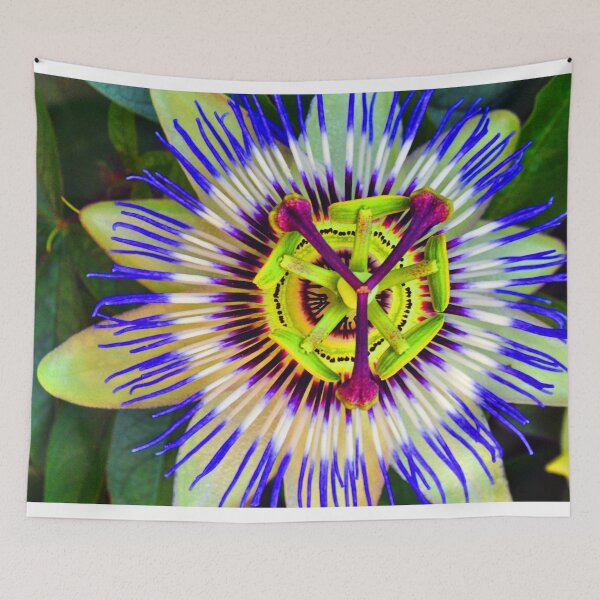 Item preview, Passion Flower Summer Flowering Plant designed and sold by AndyEvansPhotos.