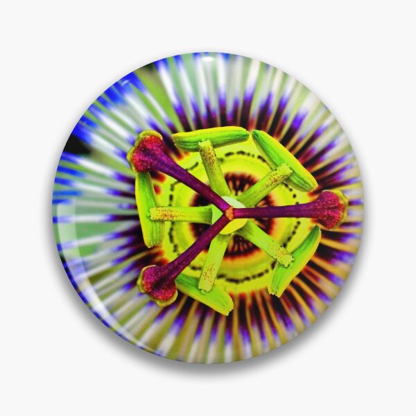 Item preview, Passion Flower Summer Flowering Plant designed and sold by AndyEvansPhotos.
