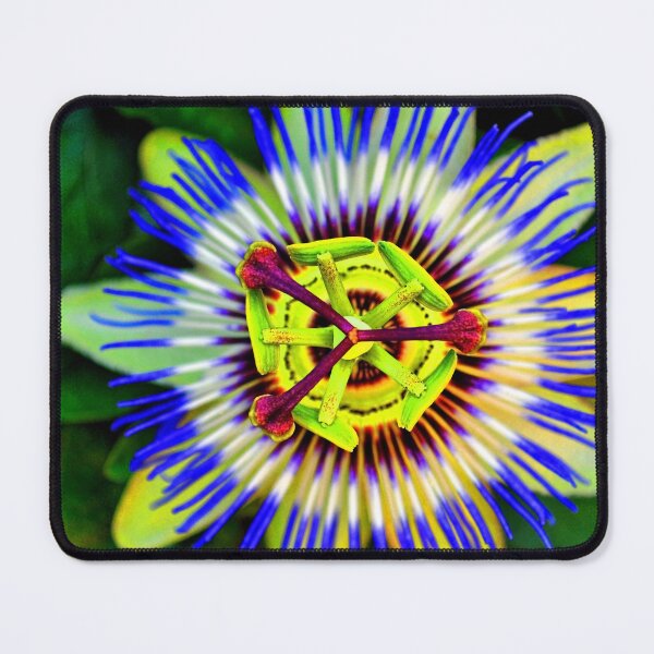 Item preview, Passion Flower Summer Flowering Plant designed and sold by AndyEvansPhotos.