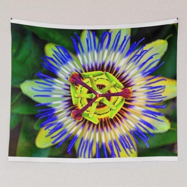 Item preview, Passion Flower Summer Flowering Plant designed and sold by AndyEvansPhotos.