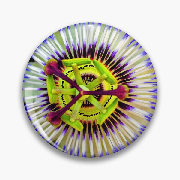Item preview, Passion Flower Summer Flowering Plant designed and sold by AndyEvansPhotos.