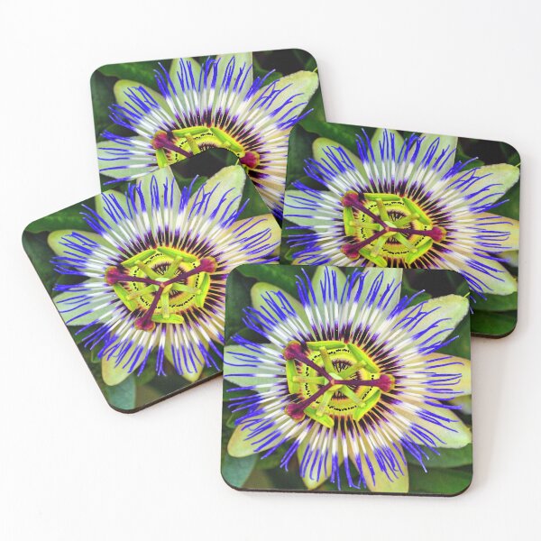 Item preview, Passion Flower Summer Flowering Plant designed and sold by AndyEvansPhotos.