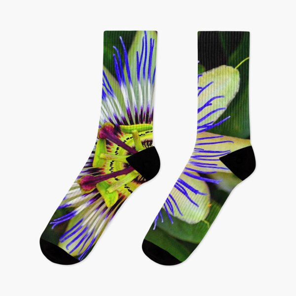 Item preview, Passion Flower Summer Flowering Plant designed and sold by AndyEvansPhotos.