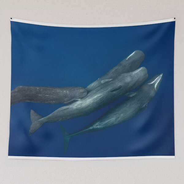 Item preview, Great life of sperm whales  designed and sold by ovidiuboc.