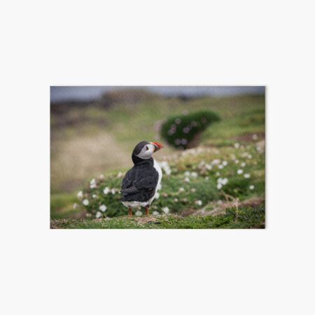 Item preview, Puffin Portrait designed and sold by heidipics.