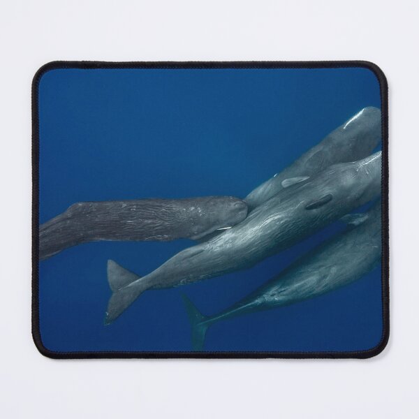 Item preview, Great life of sperm whales designed and sold by ovidiuboc.