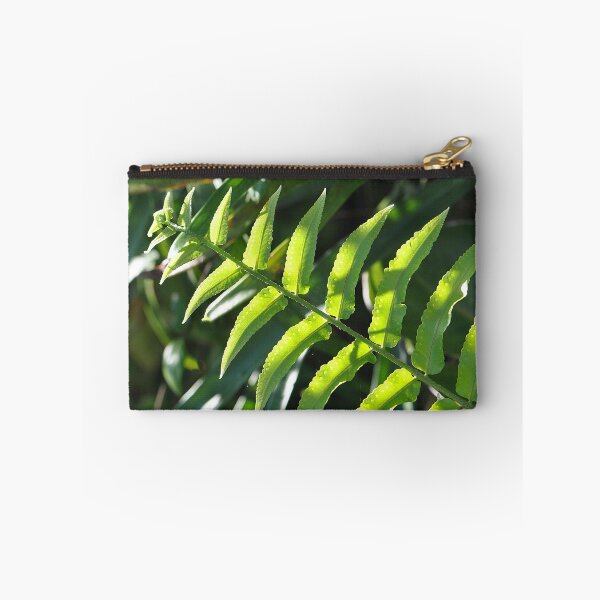 Item preview, Kimberley Queen Fern highlighted by sunlight designed and sold by IPPhotography.