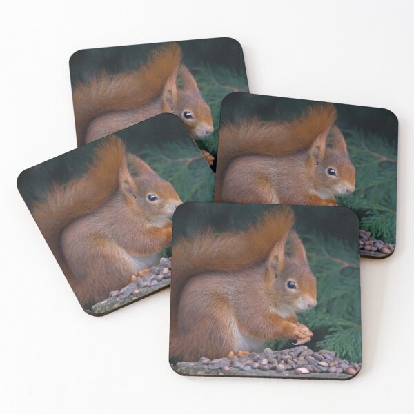 Item preview, Nut Brunch designed and sold by Krys Bailey.
