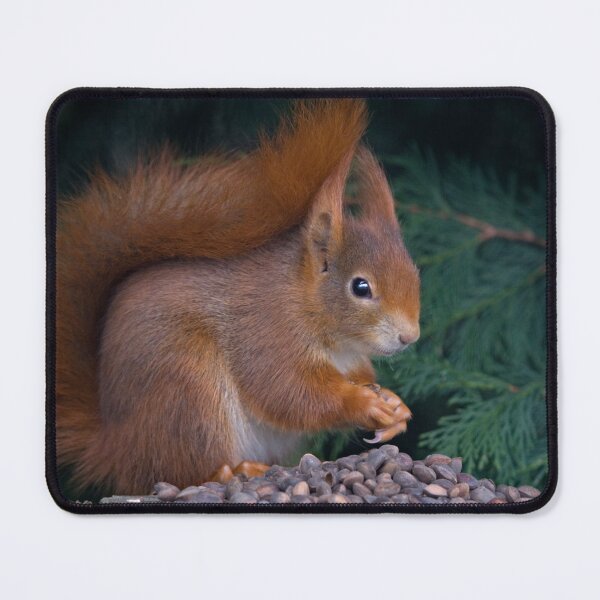 Item preview, Nut Brunch designed and sold by Krys Bailey.