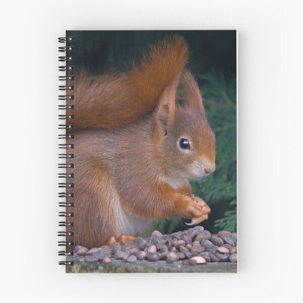 Item preview, Nut Brunch designed and sold by Krys Bailey.