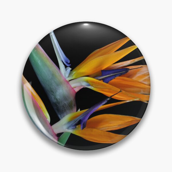 Item preview, Taking Flight designed and sold by Krys Bailey.