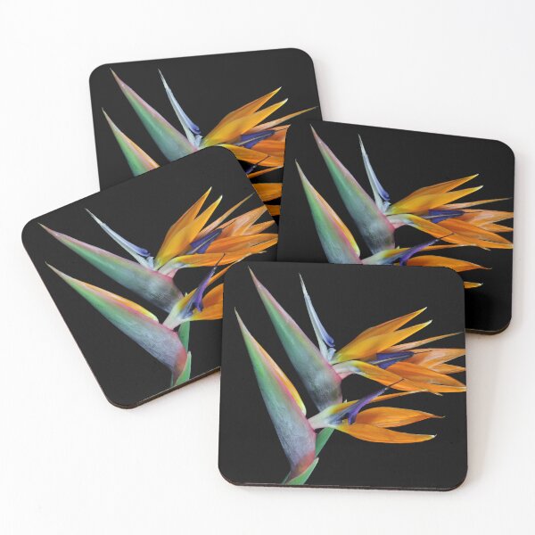 Item preview, Taking Flight designed and sold by Krys Bailey.