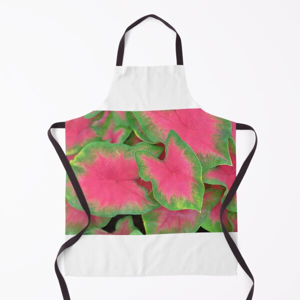 Item preview, Lovely pink and green Heart of Jesus plant leaves designed and sold by IPPhotography.